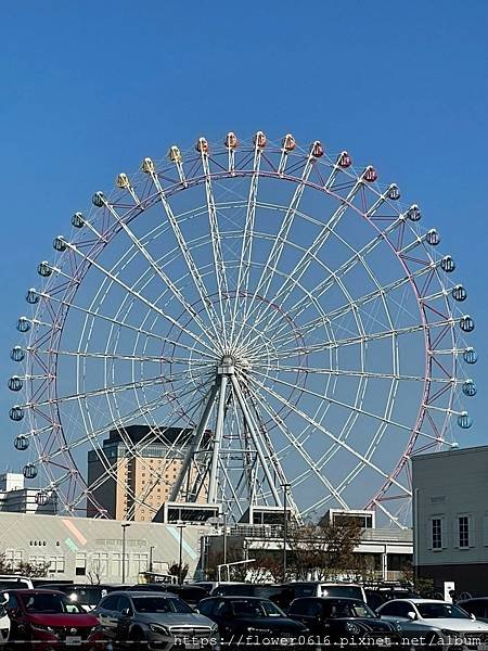 LINE_ALBUM_日本賞楓_231126_285.jpg