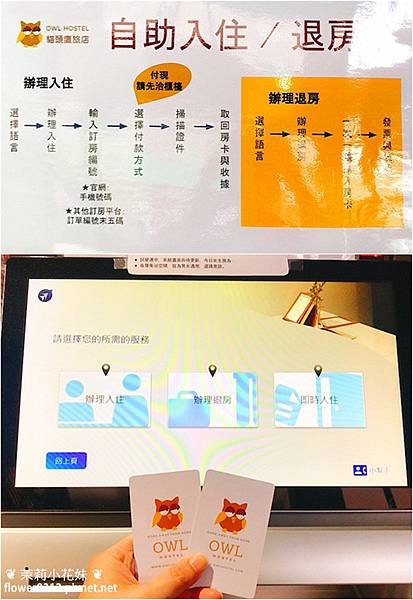 日月潭住宿 OWL Hostel 貓頭鷹旅店 背包客棧 (4).jpg