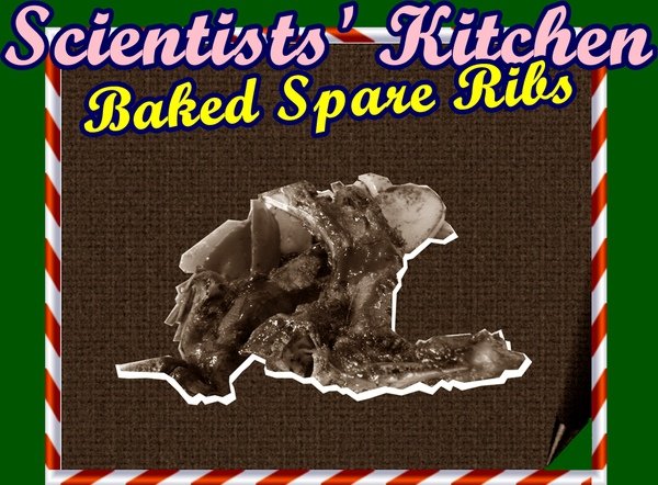 Scientist&apos;s Kitchen