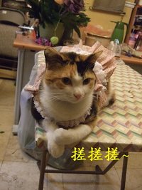 20110119 (26-1).jpg