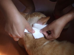 20110517 (14).JPG