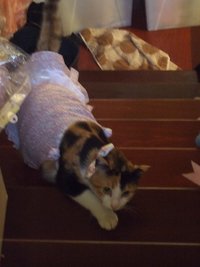 20110119 (13).jpg