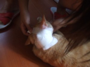 20110517 (20).JPG