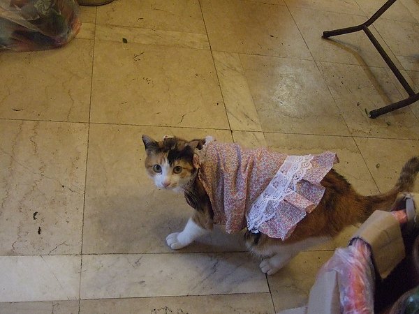 20110119.JPG