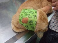20110509.JPG