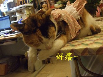20110119 (28-1).jpg