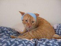 20110506 (8).JPG