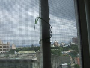 20110517 (27).JPG