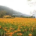 花蓮玉里。窄宅早午餐，花蓮在地美食剝皮辣椒蛋餅。玉里人推薦早