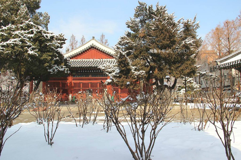 韓國首爾。下大雪的東廟、南山谷韓屋村(남산골한옥마을)、 土