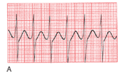 1525515_762614203784179_5819119509599941977_n