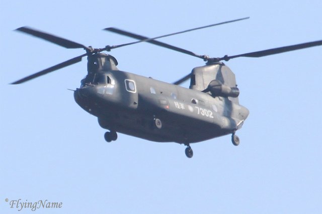 CH-47SD (7302)