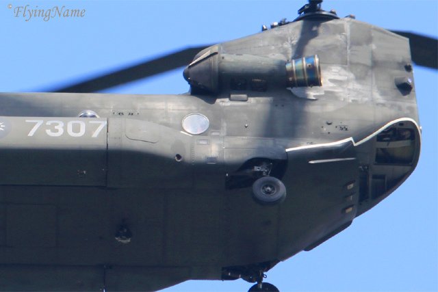 CH-47SD (7307)