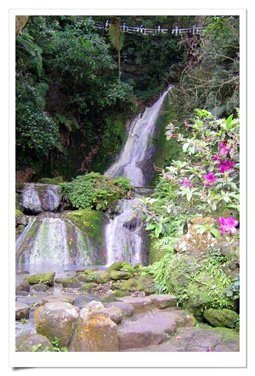 陽明山公園2 (29).jpg