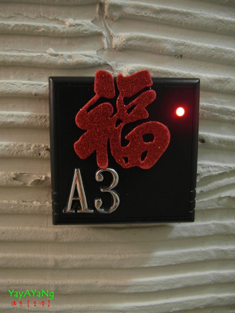 13.JPG
