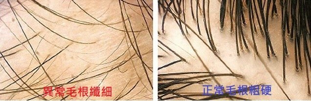 未命名3.jpg