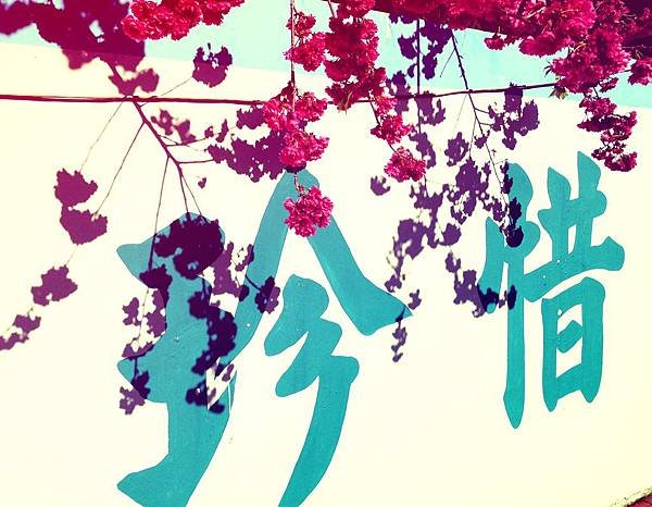 照片