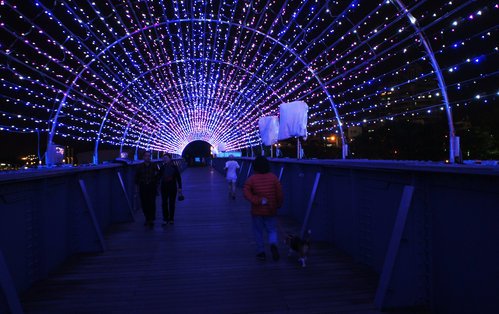 愛河夜景