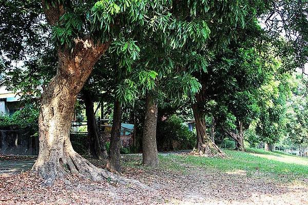 102/10/26 漯底山自然公園