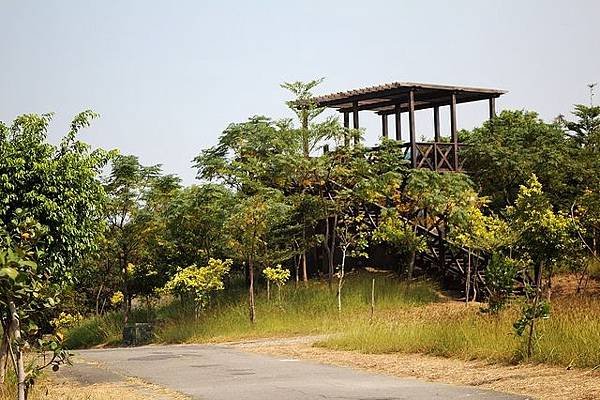 漯底山\老榕樹屋