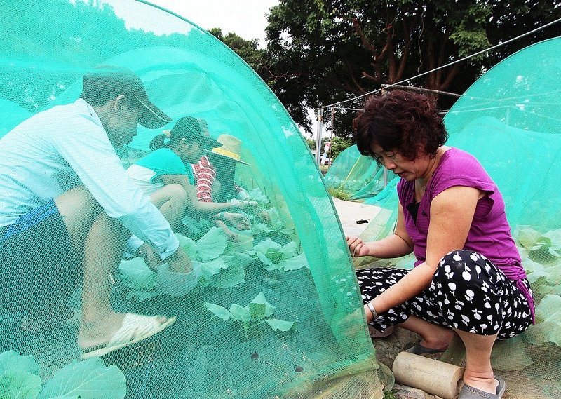 102/11/10阿蓮田園 蔬菜區