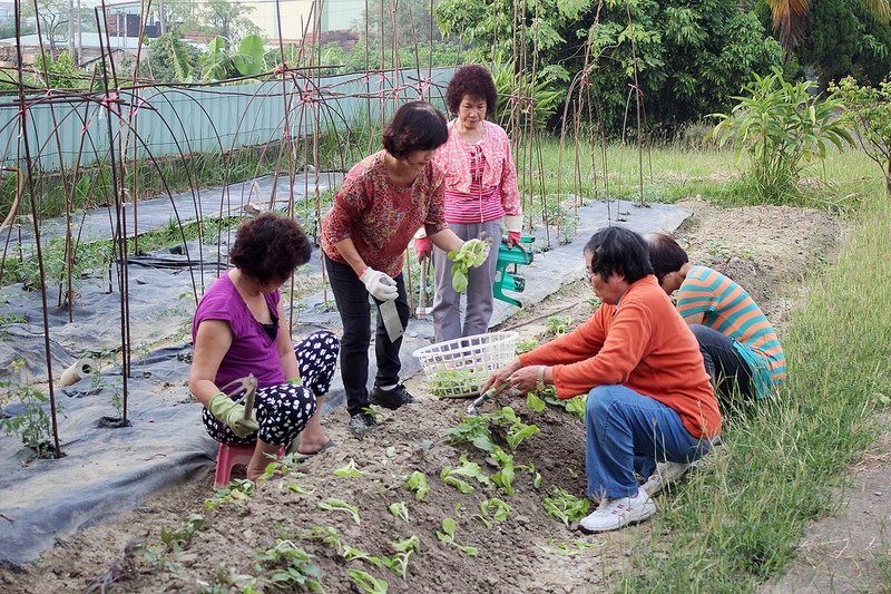 102/11/10阿蓮田園 大陸妹區