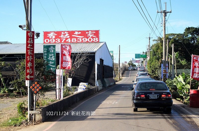 2013新社花海節