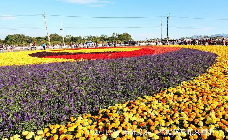 102/11/24 新社花海 /花披薩及旺來園地