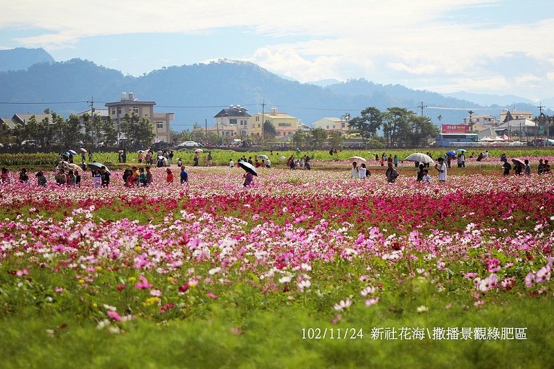 102/11/24 新社花海\撒播景觀綠肥區