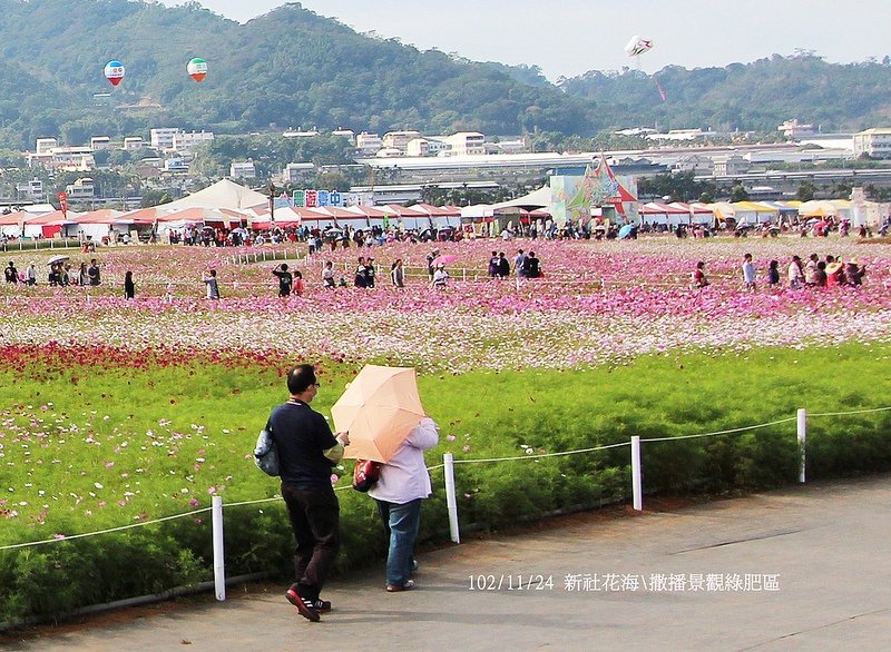 102/11/24 新社花海\撒播景觀綠肥區