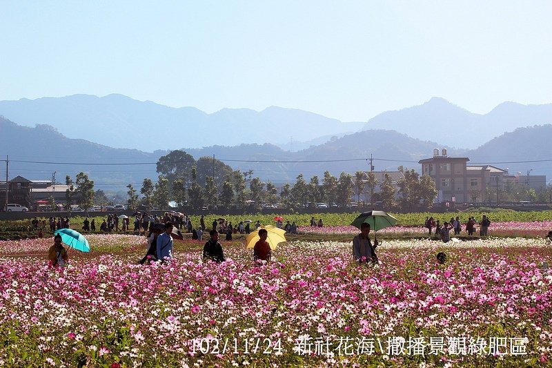 102/11/24 新社花海\撒播景觀綠肥區