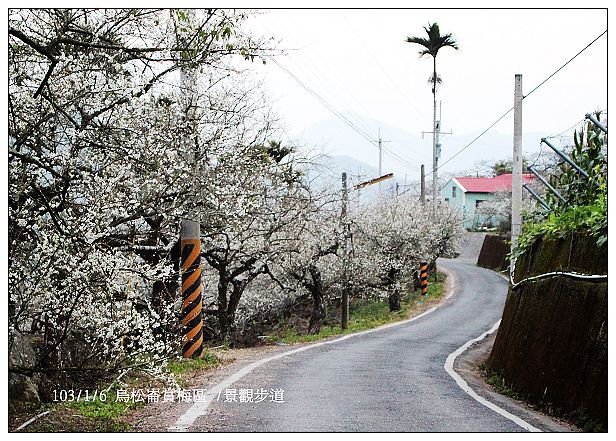 103/1/5~7 烏松崙賞梅區 /景觀步道 