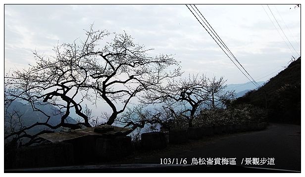 103/1/5~7 烏松崙賞梅區 /景觀步道 