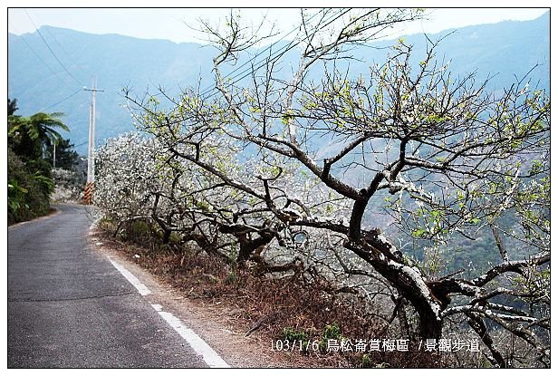 103/1/5~7 烏松崙賞梅區 /景觀步道 