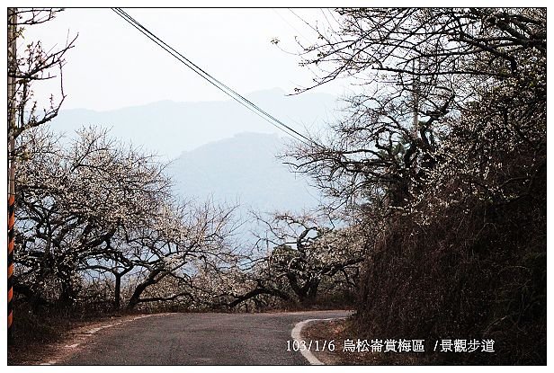 103/1/5~7 烏松崙賞梅區 /景觀步道 