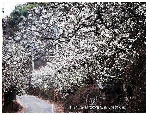 103/1/5~7 烏松崙賞梅區 /景觀步道 