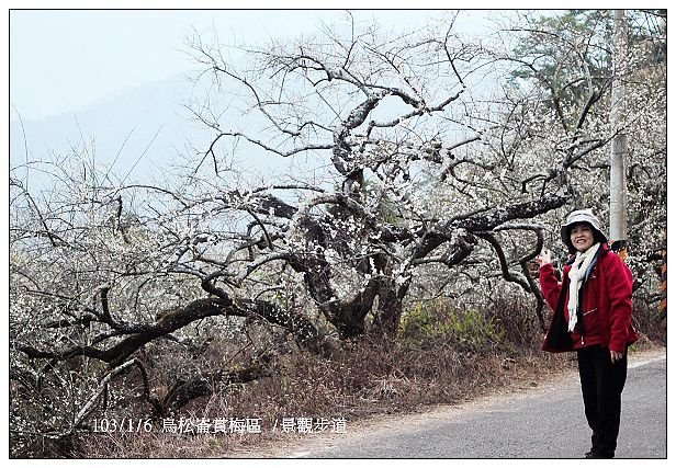 103/1/5~7 烏松崙賞梅區 /景觀步道 