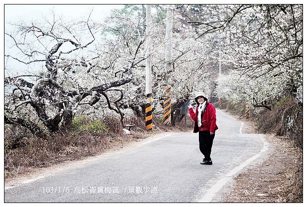 103/1/5~7 烏松崙賞梅區 /景觀步道 