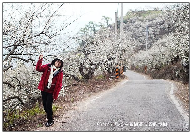 103/1/5~7 烏松崙賞梅區 /景觀步道 