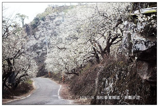 103/1/5~7 烏松崙賞梅區 /景觀步道 