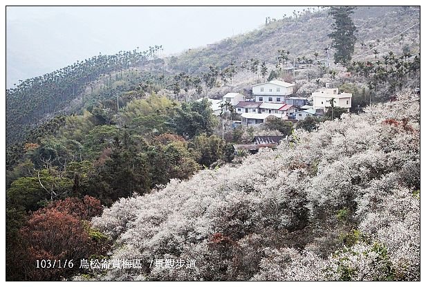 103/1/5~7 烏松崙賞梅區 /景觀步道 