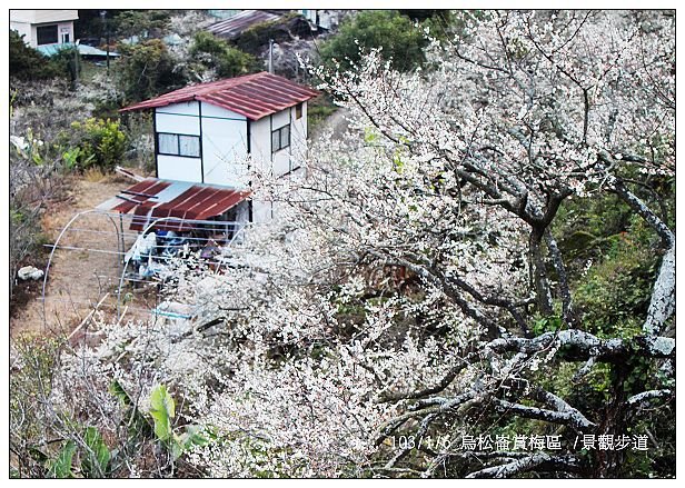 103/1/5~7 烏松崙賞梅區 /景觀步道 