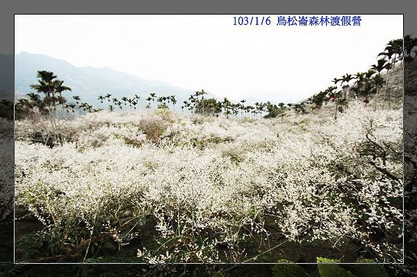 103/1/6 烏松崙森林渡假營