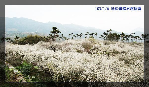 103/1/6 烏松崙森林渡假營