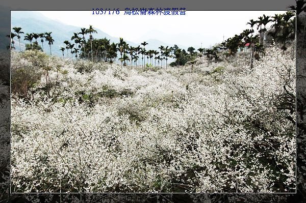 103/1/6 烏松崙森林渡假營