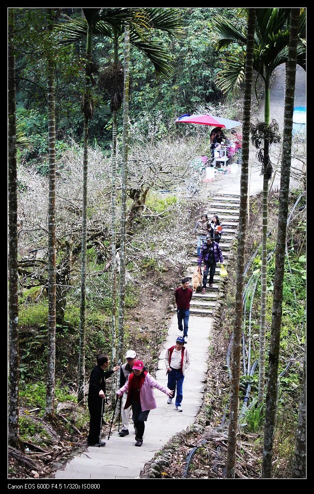 103/1/5坪瀨 /福德祠