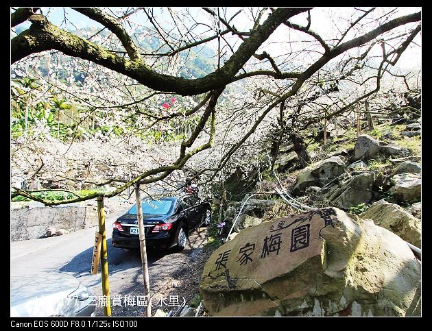 103/1/7 三廍賞梅區(水里)