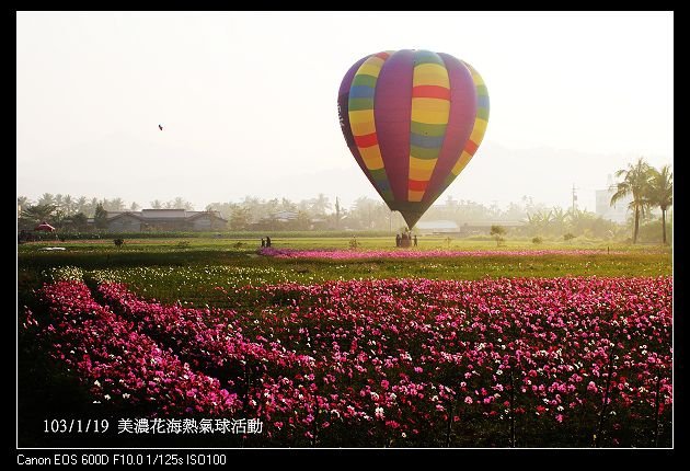 103/1/19 美濃花海熱氣球活動