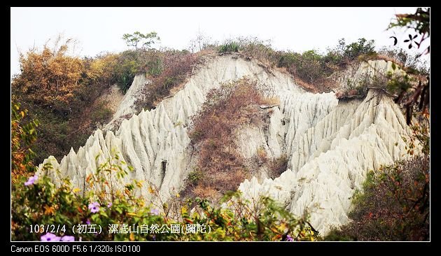 103/2/4 (初五) 漯底山自然公園(彌陀)