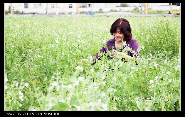 103/2/2 (初三) 花壇